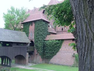 SDC12478.JPG