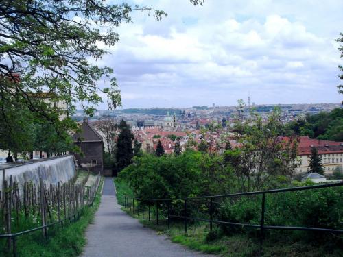SDC10036.JPG