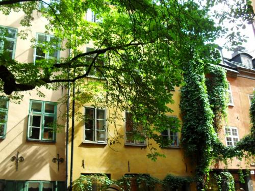 SDC18864.JPG
