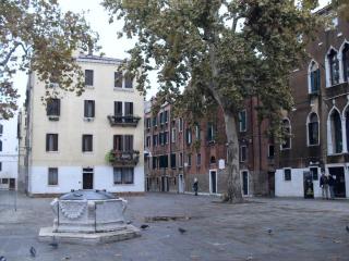 SDC15268.JPG