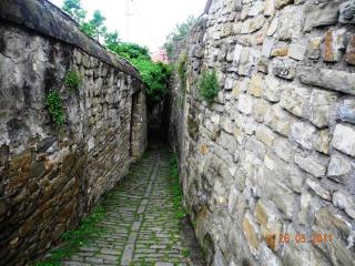 DSCN1214.JPG