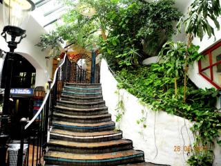 DSCN1515.JPG