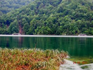 DSCN0737.JPG