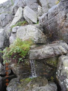 DSCN4253.JPG