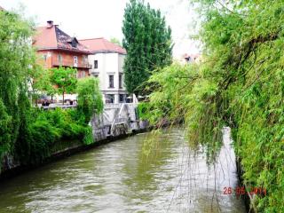 DSCN1350.JPG