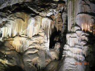DSCN1300.JPG