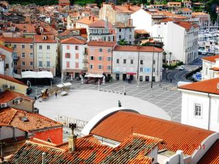 DSCN1203.JPG