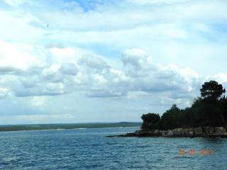 DSCN1121.JPG