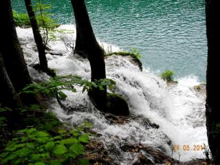 DSCN0741.JPG