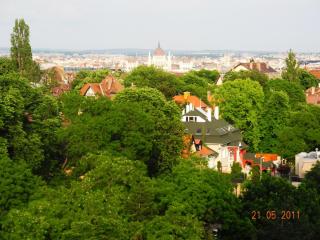 DSCN0282.JPG