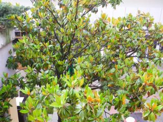 DSCN1189.JPG