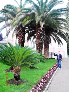 DSCN0960.JPG