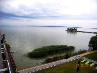 DSCN1488.JPG