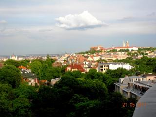 DSCN0278.JPG