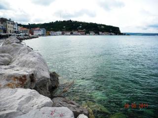 DSCN1225.JPG