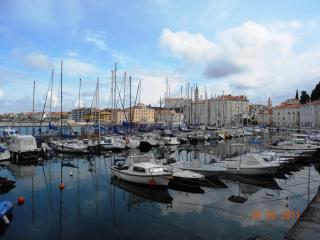 DSCN1193.JPG