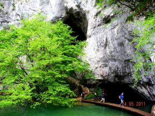 DSCN0777.JPG