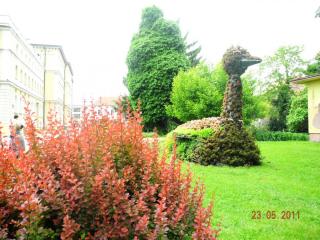 DSCN0613.JPG