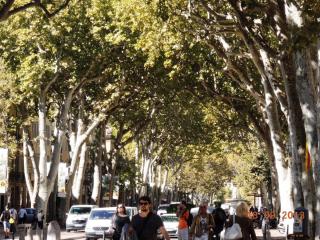 DSCN0490.JPG