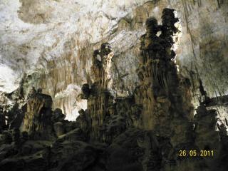 DSCN1273.JPG