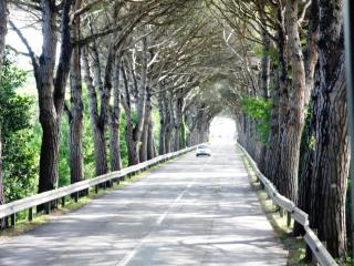 DSCN1238.JPG
