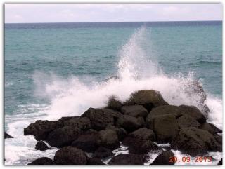 DSCN0793.JPG