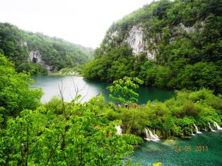 DSCN0818.JPG