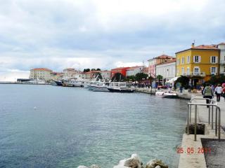 DSCN1137.JPG