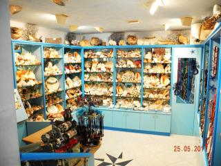 DSCN1142.JPG