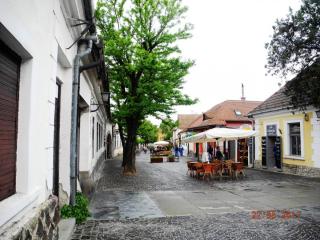 DSCN0471.JPG