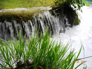 DSCN0757.JPG