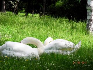 DSCN0157.JPG