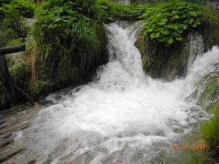DSCN0793.JPG