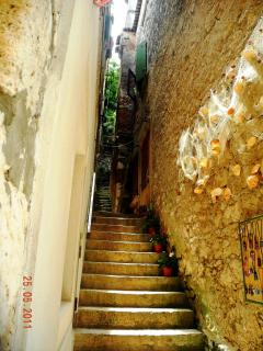 DSCN1063.JPG