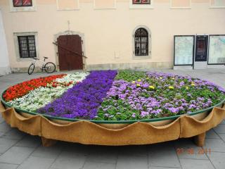 DSCN0617.JPG