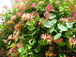 DSCN0637.JPG