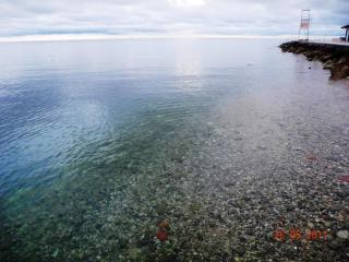 DSCN1173.JPG