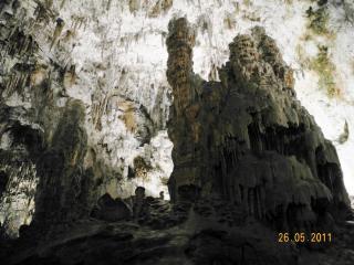 DSCN1302.JPG