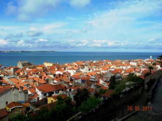 DSCN1208.JPG