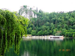 DSCN1428.JPG