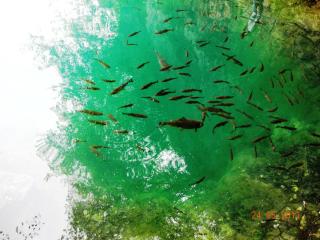 DSCN0749.JPG