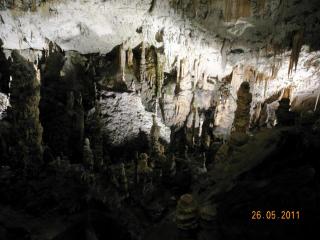 DSCN1269.JPG