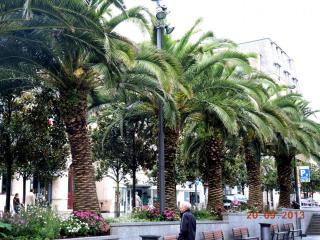 DSCN0763.JPG