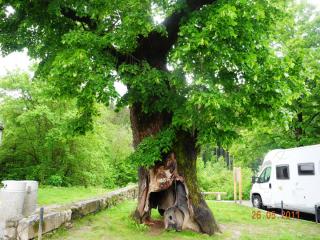 DSCN1324.JPG