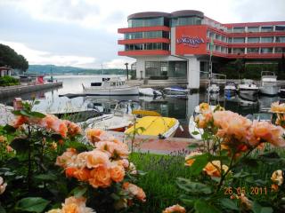 DSCN1181.JPG