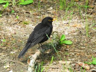 DSCN0163.JPG