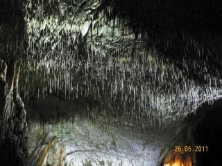 DSCN1288.JPG
