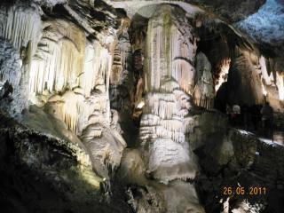 DSCN1298.JPG