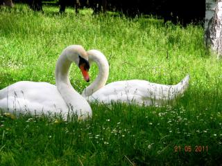 DSCN0155.JPG