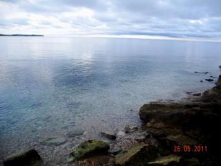 DSCN1171.JPG